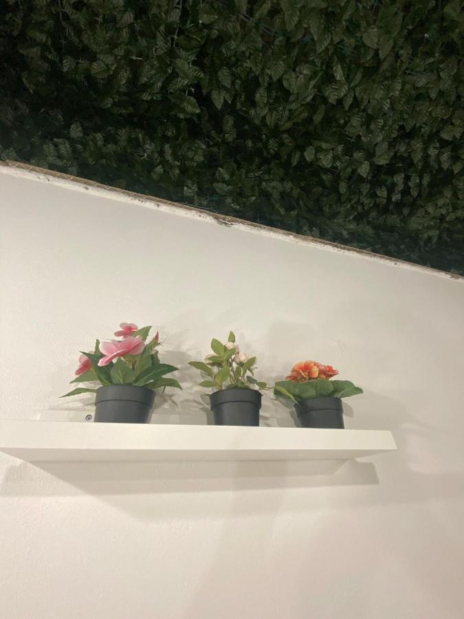Alfa Casa Vacanze Catania Διαμέρισμα Εξωτερικό φωτογραφία